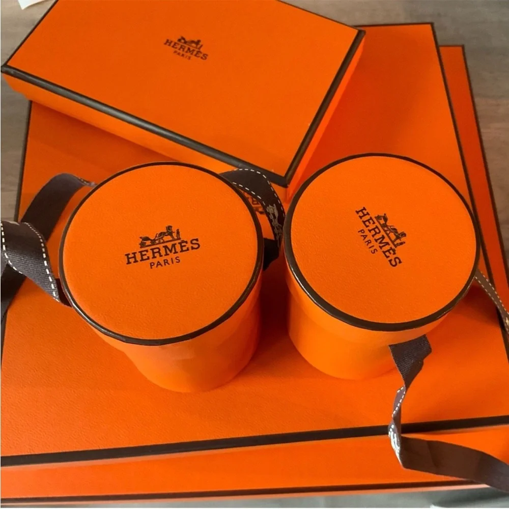 Authentic Hermes Twilly Box with Ribbon